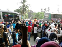 165 Jamaah Haji Koltim Tiba dengan Selamat