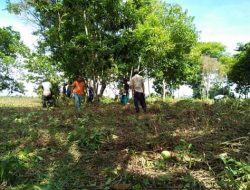 Rusda Mahmud Tinjau Lokasi Perkemahan Pramuka Yang Ke-55 Dipasir Putih