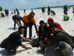 Fomali Bersama BTNW Tanam 1000 Pohon Mangrov di Pulau Oroho Wakatobi
