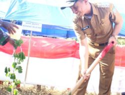 Pemkab Bersama Bank Panin Cabang Kendari Lakukan Penanaman Pohon