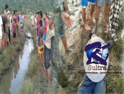 Geger, Warga Kolaka di Temukan Tewas di Pematang Sawah