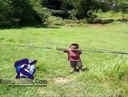 Ironis, Kabel Listrik PLN Setinggi Anak Kecil Membentang di Pemukiman Warga
