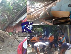 Tertimpa Pohon Pelindung, Rumah Warga Kolaka Utara Ambruk