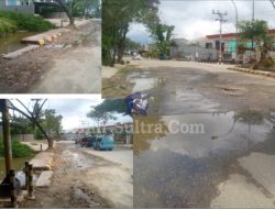 Jalan Berkubang, Pemerintah  Diminta Peduli