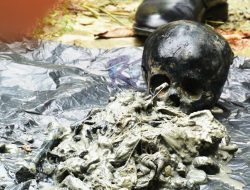 18 Makam di Kolaka Dibongkar, Jenazahnya Dipindahkan