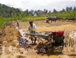 Distan Konawe, Kembali Salurkan Bantuan Traktor
