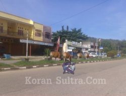 Hewan Ternak Berkeliaran di Jalur Pertokoan, Warga Anggap Itu  Sudah Lazim