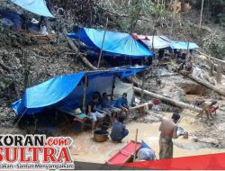 Penambang Emas Liar Ulunggolaka Mulai Tinggalkan Lokasi