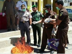 Kejaksaan Muna Musnahkan BB Narkoba dan Sajam