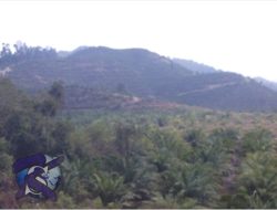 Humas TPM :  Bagi Hasil Mestinya Juga Bagi Rugi