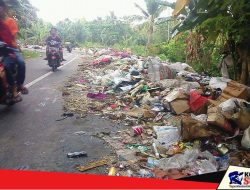 Kurang Perhatian Pemerintah, Tumpukan Sampah Berserakan di Jalan Trans Sulawesi