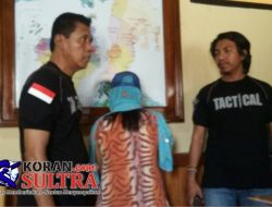 Diduga Pengedar Narkoba, IRT Ini di Bekuk Polisi