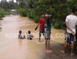 Jembatan Anggotawe Konsel Nyaris Putus, Akses Jalan Andoolo – Tinaggea “Lumpuh”
