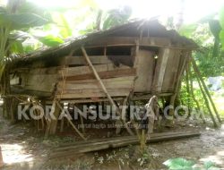 Hidup Sebatang Kara di Gubug Reotnya, Kakek 74 Tahun ini Berharap Perhatian Pemerintah