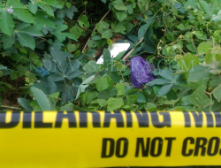 Sosok Mayat Bayi Mungil Hebohkan Warga BTN Marupa