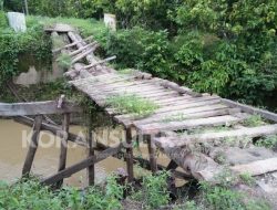 Jalan dan Jembatan “Rusak” Hambat Perekonomian, Warga Mangolo Berharap Pemerintah Peduli