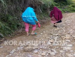 Dinas PU Kolut Prioritaskan Pengaspalan Desa Tanggaruru Melintas Desa Tinuna