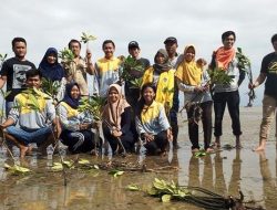 Mahasiswa UNC Palopo Tanam Mangrove di Kolut