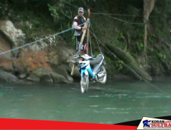 Pembangunan Jembatan Playing Fox Terkendala Status Hutan Lindung