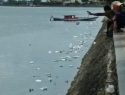 Kegiatan Gerakjalan di Kolaka, Menyisakan Sampah
