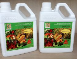 Sejumlah Kades di Toari Sebut Penganggaran Pupuk Bioboost tidak ada Tendensi dari Dinas PMD