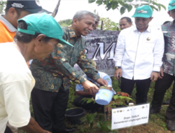 7000 Ha Hutan Kritis Sultra di Reforestasi