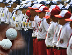 Pil PCC Marak, Pemkab Konsel Bakal Rasia di Sekolah