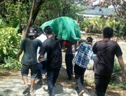 Warga Kolut Tewas Tersengat Listrik Dibelakang Rumahnya
