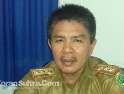 Dinas Peternakan Konawe upayakan Dana Talangan bagi Sapi Betina Produktif