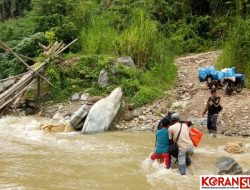 Jembatan Putus, Nyawa Warga di Kolut Terancam
