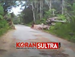 Jalan Poros Lakanaha Mulai Rusak, Dinilai Rawan Lakalantas
