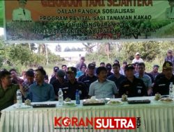 Dirjen Kementan RI Tinjau Sosialisasi Revitalisasi Kakao di Kolut