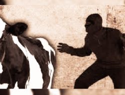 Warga Unaaha Heboh, Asyik Lulo Motor Raib Sapi Pun Hilang