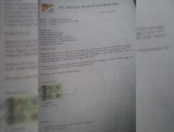 PT. Celindo Nickel Diduga Menambang Ilegal di Wilayah IUP PT. MMP Kolut