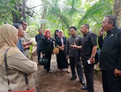 Dewan Konsel Sambangi Pemkab Pati Pelajari Budidaya Kelapa Kopyor