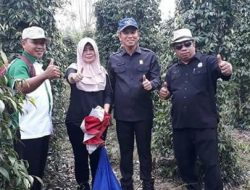 Dua Komoditi Pertanian Ini Punya Potensi, DPRD Konsel Lakukan KAD di Bangka Belitung