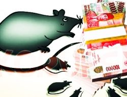 Dugaan Korupsi Tenda Pramuka, Kejari Kolut Tunggu Audit BPKP