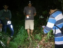 Warga Lapolu Kolut Tewas Terkena Aliran Listrik Perangkap Babi