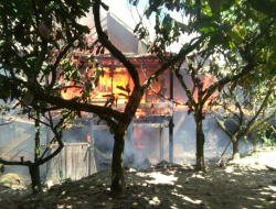 Anak Main Korek, Satu Rumah di Kolut Ludes Dilalap Sijago Merah