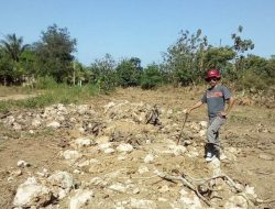 Pelebaran Jalan, Pemda Mubar Serobot Lahan Masyarakat