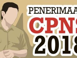 119 Berkas CPNS Kolut Gagal, Satu Pelamar K2 Lolos