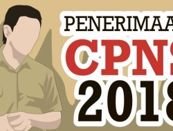 Ini 2 Kreteria yang Wajib Diperhatikan CPNS di Koltim