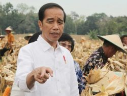 Bulan November ini, Jokowi Bakal ke Konsel