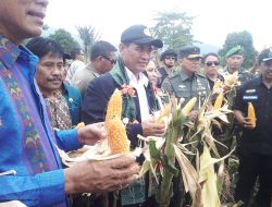 Mentan: Kami Pastikan Bantuan Bibit Kakao Benar-benar Unggul