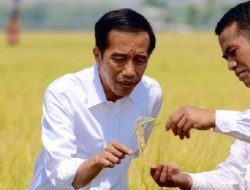 Mentan: Di Era Jokowi – Jk 742 Mafia Perusahaan Ditindak