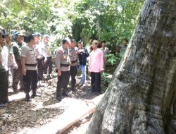 Kapolda Sultra Kunjungi Jati Tertua di Dunia usia 367 tahun