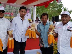 Peran Gempita Mampu Genjot Produksi Jagung di Kolut