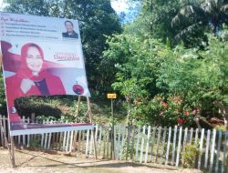 Baliho Caleg DPR-RI di Muna Dirusak OTK