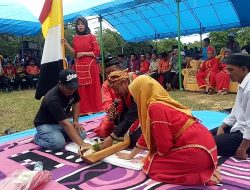 Berlangsung Hikmah, Prosesi Adat Metanduale Disaksikan Ratusan Orang
