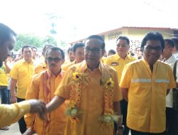 Kembalikan Kejayaan Golkar, Partai Single Majority